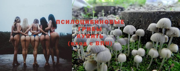гашиш Володарск