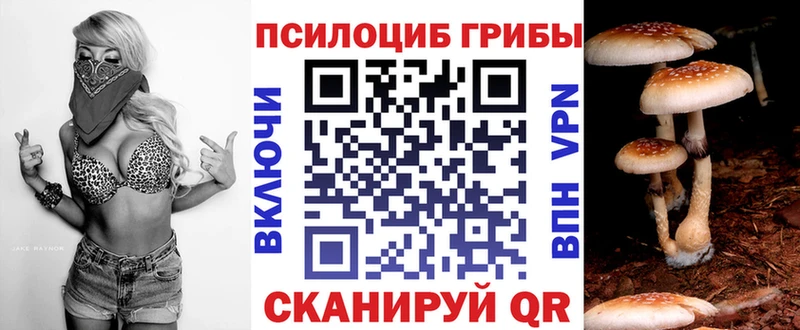 мега   Черноголовка  Галлюциногенные грибы Magic Shrooms 